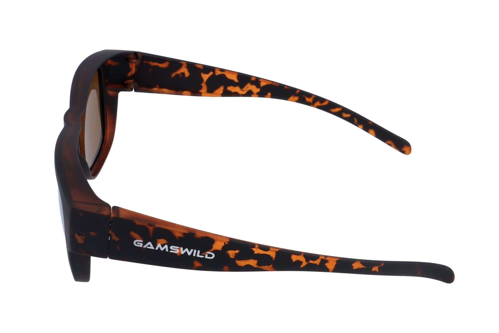 WS_6024_bruin_25G_4_360_90