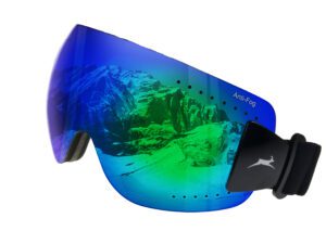 Ski Goggles WS9140 Gamswild Sneeuwbril